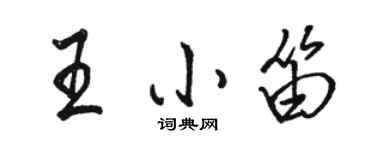 駱恆光王小笛行書個性簽名怎么寫