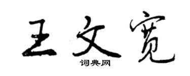 曾慶福王文寬行書個性簽名怎么寫
