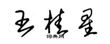 朱錫榮王桂星草書個性簽名怎么寫