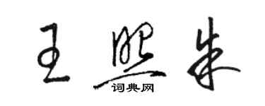 駱恆光王照朱草書個性簽名怎么寫