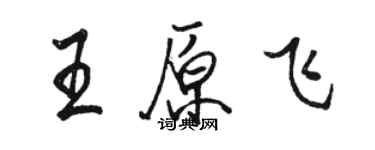 駱恆光王原飛行書個性簽名怎么寫