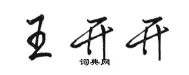 駱恆光王開開行書個性簽名怎么寫