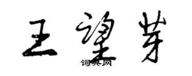 曾慶福王望芽行書個性簽名怎么寫