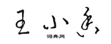 駱恆光王小香草書個性簽名怎么寫