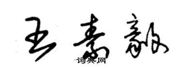 朱錫榮王素毅草書個性簽名怎么寫