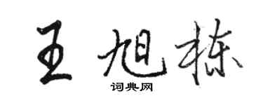 駱恆光王旭棟行書個性簽名怎么寫
