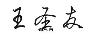 駱恆光王聖友行書個性簽名怎么寫