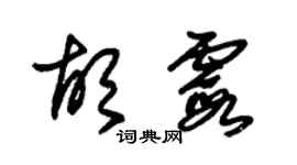 朱錫榮胡霞草書個性簽名怎么寫