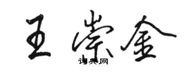 駱恆光王崇金行書個性簽名怎么寫