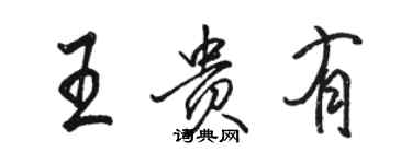 駱恆光王貴有行書個性簽名怎么寫