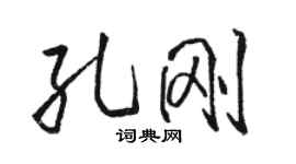 駱恆光孔剛行書個性簽名怎么寫