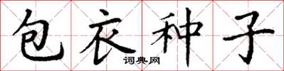 丁謙包衣種子楷書怎么寫