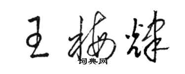 駱恆光王梅輝草書個性簽名怎么寫