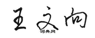 駱恆光王文向行書個性簽名怎么寫