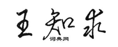 駱恆光王知求行書個性簽名怎么寫