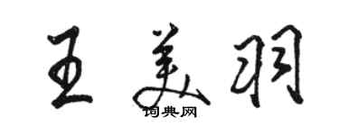 駱恆光王美羽行書個性簽名怎么寫