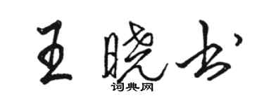 駱恆光王曉書行書個性簽名怎么寫