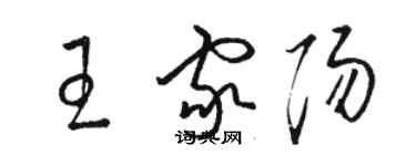 駱恆光王家陽草書個性簽名怎么寫