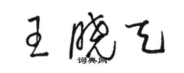 駱恆光王曉天草書個性簽名怎么寫