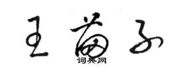 駱恆光王苗子草書個性簽名怎么寫