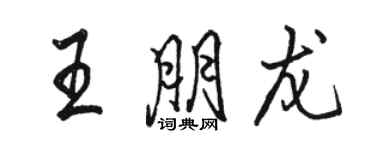 駱恆光王朋龍行書個性簽名怎么寫