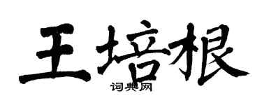 翁闓運王培根楷書個性簽名怎么寫