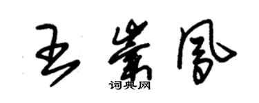 朱錫榮王崇鳳草書個性簽名怎么寫