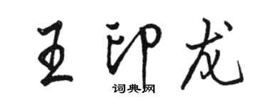 駱恆光王印龍行書個性簽名怎么寫