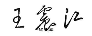 駱恆光王震江草書個性簽名怎么寫