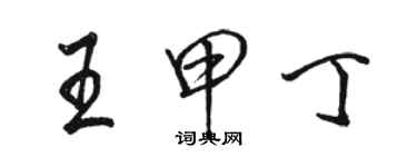 駱恆光王甲丁行書個性簽名怎么寫