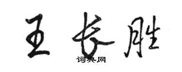 駱恆光王長勝行書個性簽名怎么寫