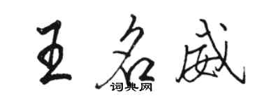 駱恆光王名威行書個性簽名怎么寫