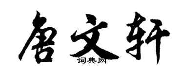 胡問遂唐文軒行書個性簽名怎么寫