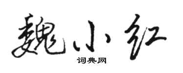 駱恆光魏小紅行書個性簽名怎么寫