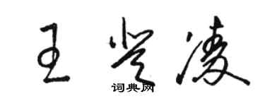 駱恆光王登凌草書個性簽名怎么寫