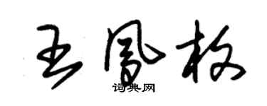 朱錫榮王鳳枚草書個性簽名怎么寫