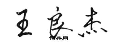 駱恆光王良傑行書個性簽名怎么寫