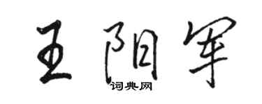 駱恆光王陽軍行書個性簽名怎么寫