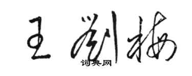 駱恆光王劉梅草書個性簽名怎么寫