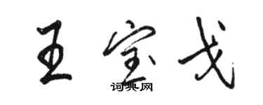 駱恆光王寶戈行書個性簽名怎么寫