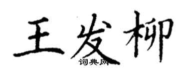 丁謙王發柳楷書個性簽名怎么寫