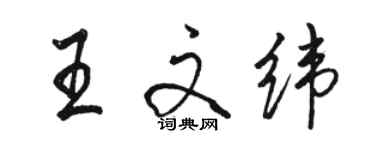 駱恆光王文緯行書個性簽名怎么寫