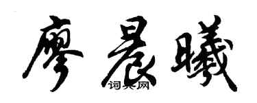 胡問遂廖晨曦行書個性簽名怎么寫