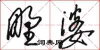 駱恆光野婆草書怎么寫