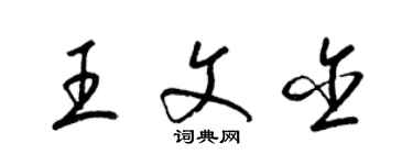 梁錦英王文含草書個性簽名怎么寫