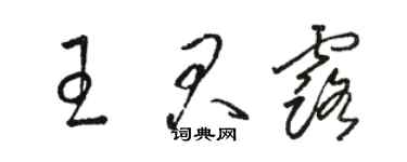 駱恆光王君露草書個性簽名怎么寫