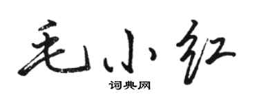 駱恆光毛小紅行書個性簽名怎么寫