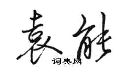 駱恆光袁能行書個性簽名怎么寫