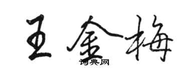 駱恆光王金梅行書個性簽名怎么寫
