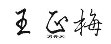 駱恆光王正梅行書個性簽名怎么寫